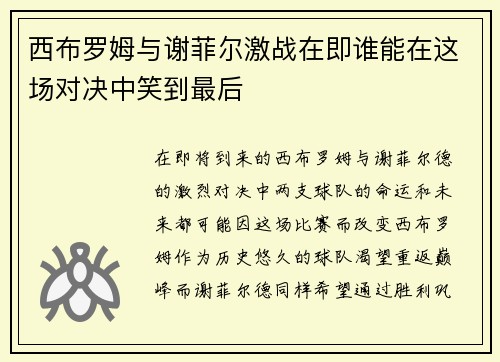 西布罗姆与谢菲尔激战在即谁能在这场对决中笑到最后