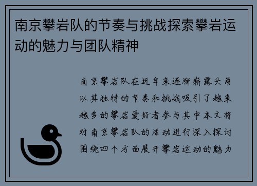 南京攀岩队的节奏与挑战探索攀岩运动的魅力与团队精神